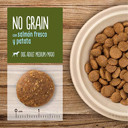 True Instinct No Grain Pienso para Perros Medium Adult con Salmón - 2000 gr