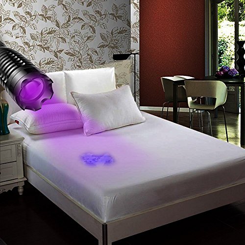 UV Luz Lámpara, Ahome Ultravioleta 395nm LED Linterna, Detector de Manchas de Orina, Buscador de Chinches, Perro/Gato Quitamanchas, con Batería y el Cargador