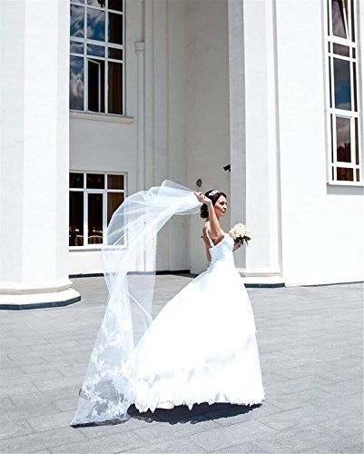 Velo de Novia de una Sola Capa Lianshi Bridal Veil Encaje Bordado de la Novia Suministros 3 m (Blanco)