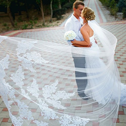 Velo de Novia de una Sola Capa Lianshi Bridal Veil Encaje Bordado de la Novia Suministros 3 m (Blanco)