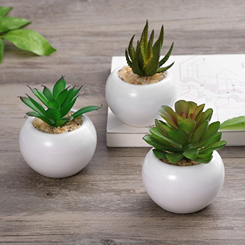 WINOMO 3pcs suculentas decorativas decorativas suculentas artificiales plantas falsas con macetas blancas