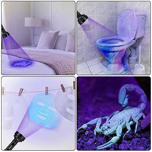 YOUTHINK Linterna UV - 100 Leds 395 NM Linterna Ultravioleta, Detector de Orina Escorpiones y Autenticación de Moneda para Uso en Interiores y Exteriores