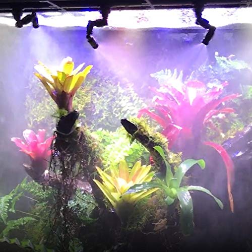 YOUTHINK Reptiles Boquillas de Terrario, 2 Cabezas Terrario Niebla Rociador Rociador de Niebla Rociador de Acuario Ajustable de 360 ° Sistema de Enfriamiento para Reptiles Anfibios Plantas Fores