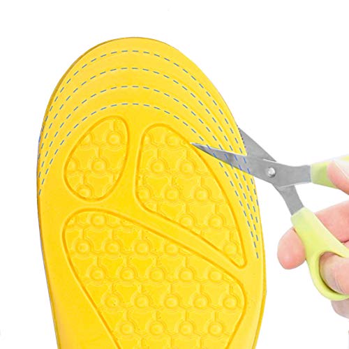 ZusFut Plantillas Elevadoras 2 cms Alzas para Zapatos Plantillas Aumento Altura Hombre Mujer (35/41 EU)