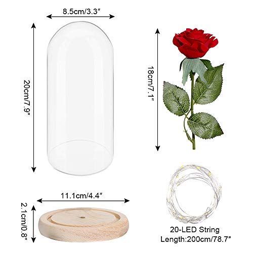 ABEDOE La Bella y la Bestia Rosa Eterna, Decoración de Rosa Roja Encantada Artificial en Cúpula de Vidrio con Luz LED,Regalo Romántico para El Día de San Valentín, Día de la Madre,Aniversario