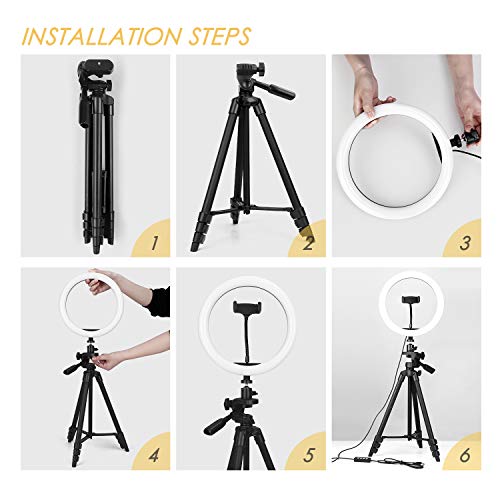 amzdeal 10'' Anillo de Luz LED 3 Colores 10%-100% Brillos Regulables Girar 360º Aro de Luz con Control Remoto y Soporte para Movil para Maquillaje/Videollamada/Selfie/Transmisión en Vivo