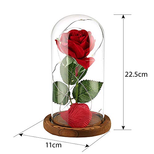 Anaoo Rosa Bella y la Bestia Regalo Navidad para Mujeres, Madres, Novia, San Valentin, cumpleaños, Boda, Aniversario, con una cúpula de Cristal sobre la Base, con Una Tarjeta