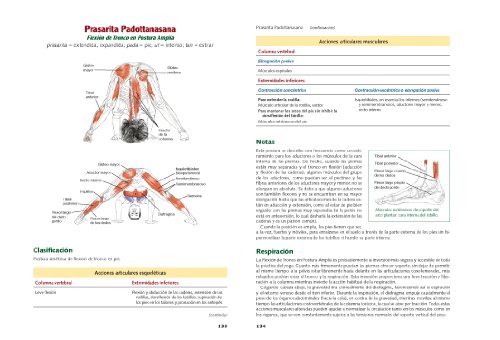 ANATOMIA DEL YOGA NUEVA EDICION AMPLIADA: Nueva edición ampliada y actualizada