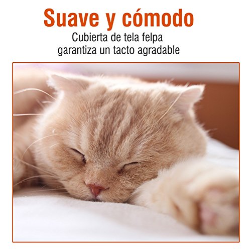 Arbol Rascador Gatos 50x50x170cm Dormir Jugar Centro Actividades Arañar Gris NUE (Gris)