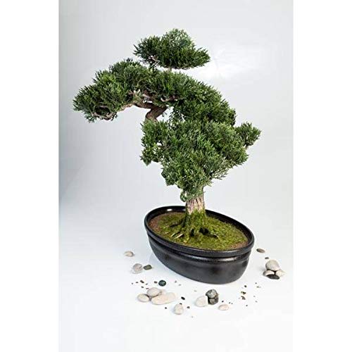 artplants.de Bonsái de Cedro Artificial en Cuenco Decorativo, 230 Ramas, 40cm - Bonsái Decorativo - Bonsai Artificial