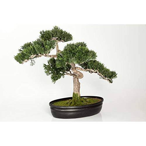 artplants.de Bonsái de Cedro Artificial en Cuenco Decorativo, 230 Ramas, 40cm - Bonsái Decorativo - Bonsai Artificial