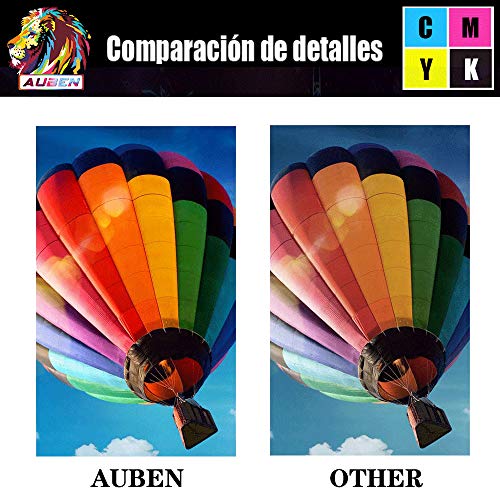 AUBEN 29XL para Epson 29 Cartuchos de Tinta 6 Compatibles con Epson Expression Home XP-255 XP-245 XP-342 XP-442 XP-235 XP-257 XP-345 XP-332 XP-247 XP-445 XP-432 XP-335 XP-435 XP-352 XP-355 XP-455