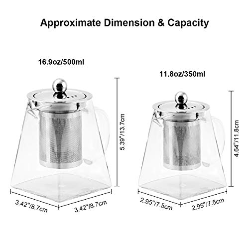 BONNACC Tetera de Vidrio 350ml con Filtro Infusor de Acero Inoxidable Resistente al Calor, Té y Café