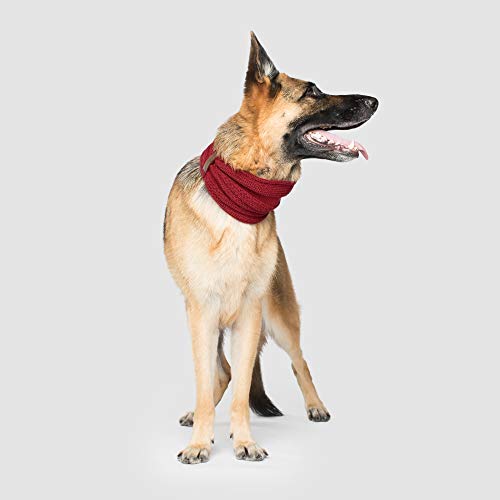 Canada Pooch Cp01868 Sherpa - Bufanda (Talla S), Color Rojo