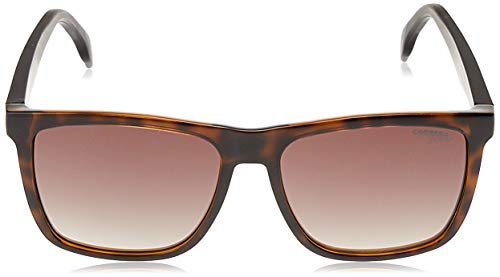 Carrera 5041/S HA 2OS Gafas de sol, Negro (Havana Mtblack/Brwn Sf), 56 Unisex-Adulto