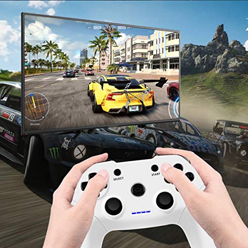 Clevo Mando para PC, Mando PC Gaming 2.4G Bluetooth Mando Inalámbrico Vibración Dual Compatible para PC/PSC/Android/TV Box (OTG Función