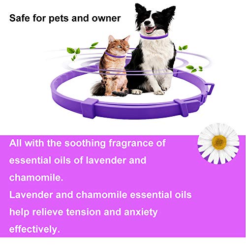 Collar calmante para perros y gatos,Collar ajustable contra la ansiedad,Alivio de la ansiedad de efecto calmante duradero a prueba de agua natural y seguro,2 paquetes(Pequeño)