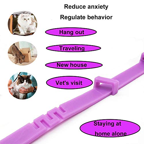 Collar calmante para perros y gatos,Collar ajustable contra la ansiedad,Alivio de la ansiedad de efecto calmante duradero a prueba de agua natural y seguro,1 paquete(Pequeño)