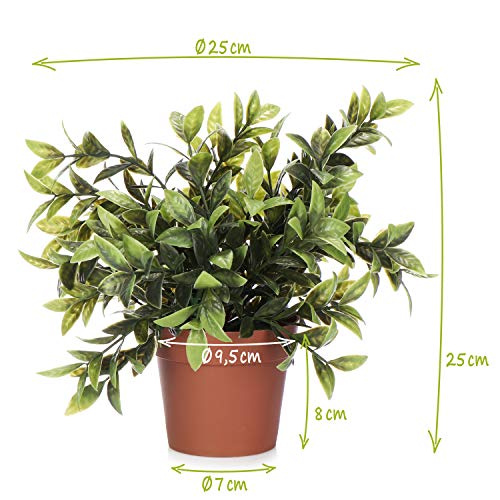 com-four® Planta Artificial en una Maceta, Planta Verde Artificial con Hojas Grandes para el hogar, la Oficina, la práctica o la Oficina, Muy fácil de cuidar (01 Piezas - Hojas Grandes)