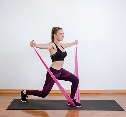 Coresteady Bandas de Resistencia Terapéuticas Bandas de Fitness Pilates, Yoga, Entrenamiento de Fuerza | Fisioterapia y rehabilitación |para Hombres y Mujeres |Guía incluida