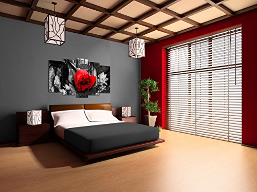 DekoArte 264 - Cuadros Modernos Impresión de Imagen Artística Digitalizada | Lienzo Decorativo para Tu Salón o Dormitorio | Estilo Naturaleza En Blanco y Negro con Flor en Rojo | 5 Piezas 150x80cm