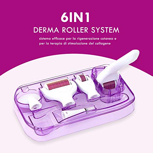 Derma Roller Facial Masajeador Facial Cepillo Facial Rodillo Masaje Antiarrugas Mujer Microagujas Facial Roller Titanio Antiedad Colageno Facial Cuerpo Labios Celulitis Cicatrices De Acne.