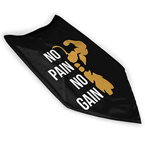 DFGHG Protección de Seguridad, protección Facial, paño Lavable, Toalla Facial Remember No Pain No Gain Gym King Outdoor Reusable Windproof Sports Cover Scarf Bandana