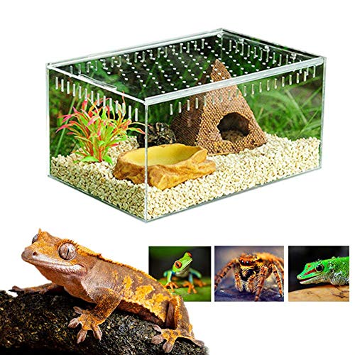 domiluoyoyo Reptil Transparente Caja de cría Terrario pequeño de acrílico Vista Completa Caja de alimentación para Reptiles de Insectos Tarántulas Anfibios Orugas Grillo Araña Caracol Reptil