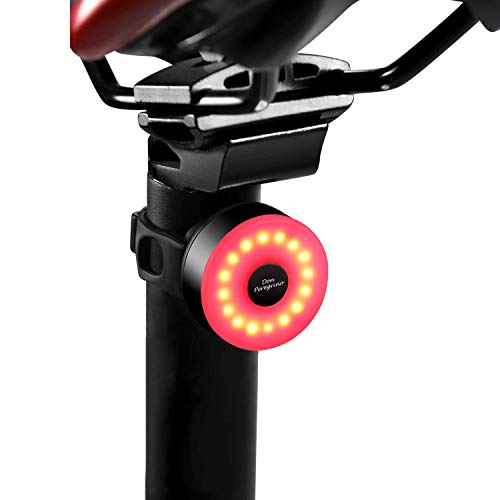 DONPEREGRINO M2 - Luz Trasera Bici Compacta hasta 90 Horas de Autonomía, LED Luz Bicicleta USB Recargable con 5 Modos Fijos e Intermitentes