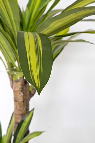 Dracena Artificial, Elaborados con los Mejores Materiales, Ideal para Decoracion de hogar (130 cm)