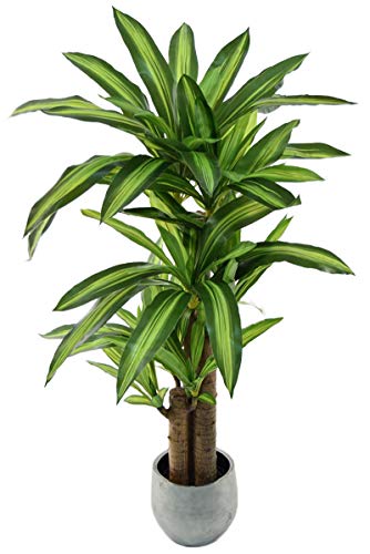 Dracena Artificial, Elaborados con los Mejores Materiales, Ideal para Decoracion de hogar (130 cm)