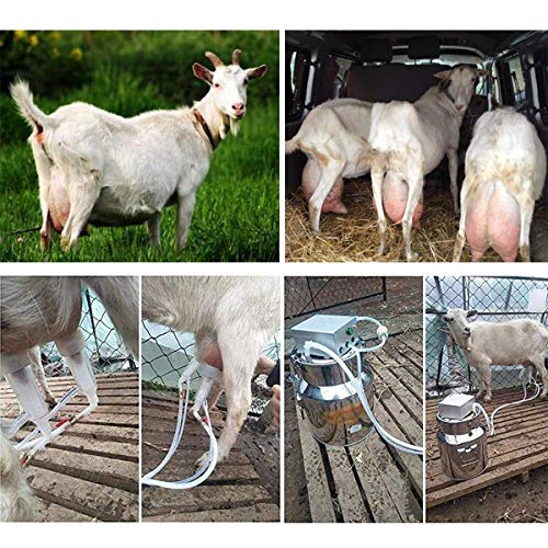 EnweGey Ordeñadora Eléctrica, Extractor de Leche Automático Portátil con Tanque de Leche de 5 litros Capacidad, Materiales de Grado Alimenticio, Recargable, para Bovinos y Ovinos,For Cattle