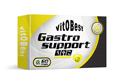 Enzimas Digestivas - GASTRO SUPPORT 60 Cápsulas - Suplementos Deportivos y Suplementos Alimentación - Vitobest