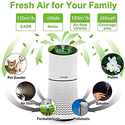 FAMTOP Purificador de Aire para Hogar, Air Purifier 4 en 1(hasta 99.97%) con Filtro HEPA Catalizador Frío, No Ozono, CADR 120m³/h, Captura Polvo, Humo, Caspa de Mascotas