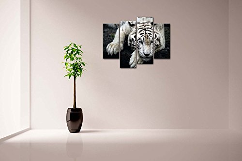 Firstwallart - Impresión sobre Lienzo de Foto de Tigre Blanco Tumbado sobre Roca para Moderna decoración de hogar