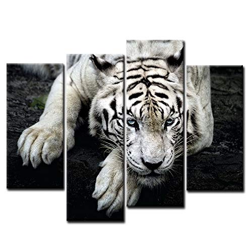 Firstwallart - Impresión sobre Lienzo de Foto de Tigre Blanco Tumbado sobre Roca para Moderna decoración de hogar