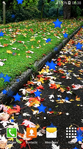 Fondos de otoño de hojas vivas