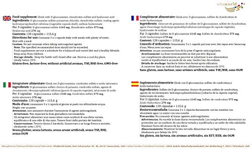 Glucosamina + Condroitina + Ácido Hialurónico 120 Cápsulas Vegetales Vita World