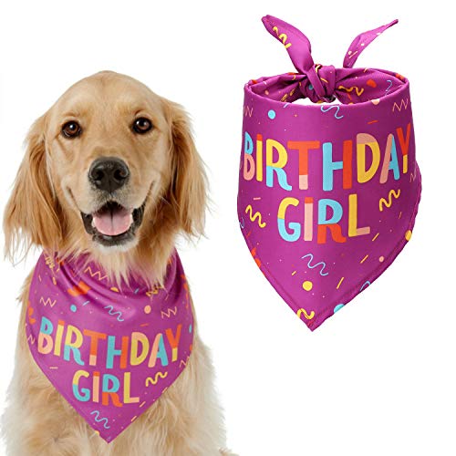 HAPPY HACHI Cumpleaños Bandana Perro Pañuelo Perrito Suave Adorable Bufandas Perro Hembra Macho Pequeño Grande Decoración Fiesta Regalo De Cumpleaños Morado