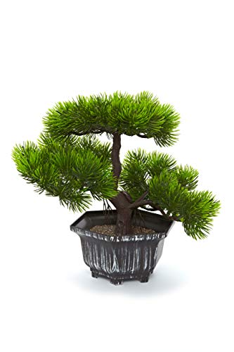 Heitmann Deco – Bonsái, planta artificial con maceta, planta verde, árbol pequeño, flores artificiales, decoración