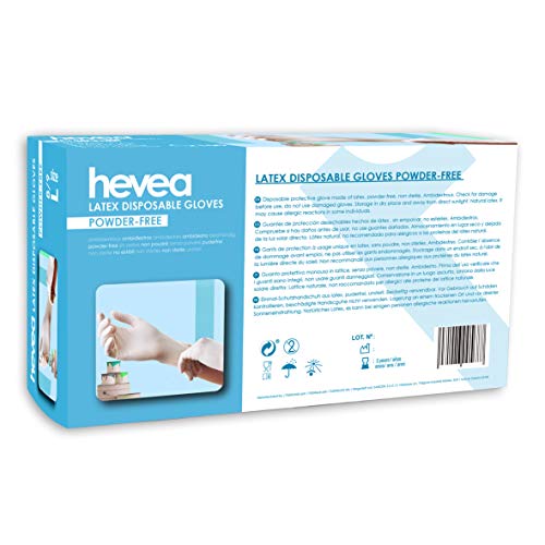 Hevea Guantes de Látex desechables, sin Polvo, 1 x 100, Talla XL