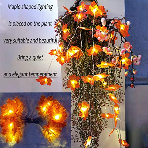 Hojas de otoño, Ainkedin guirnalda otoño, 20 luces led decoracion, Luces decoracion halloween, Adornos navidad, Guirnaldas decoracion pared plantas artificiales decoracion Escalera decorativa