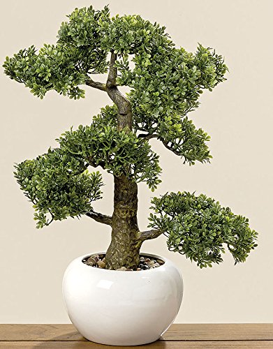 Home Collection - Muebles, decoración, Plantas Artificiales - Boj Común Bonsai Artificial en macetero - Material: plástico - Color: Natural - Dim. Altura Aprox. 48 cm