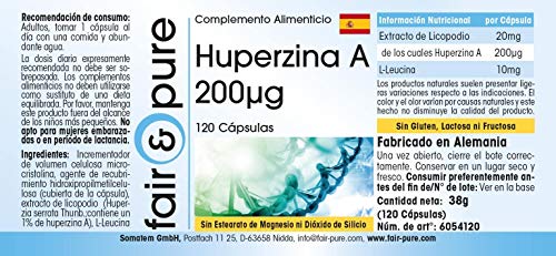 Huperzina A 200µg - Procedente de Licopodio (Huperzia Serrata) - Vegana - Alta pureza - 120 Cápsulas