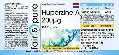 Huperzina A 200µg - Procedente de Licopodio (Huperzia Serrata) - Vegana - Alta pureza - 120 Cápsulas