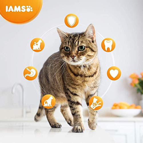 IAMS for Vitality Alimento bajo en grasa para Gatos Esterilizados con pollo fresco, 10 kg