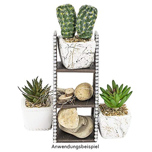 Ideen mit Herz - Juego de suculentas decorativas, 5 unidades, cactus artificiales de aspecto real, Decoración ideal para oficina, alféizar, salón, dormitorio, etc.