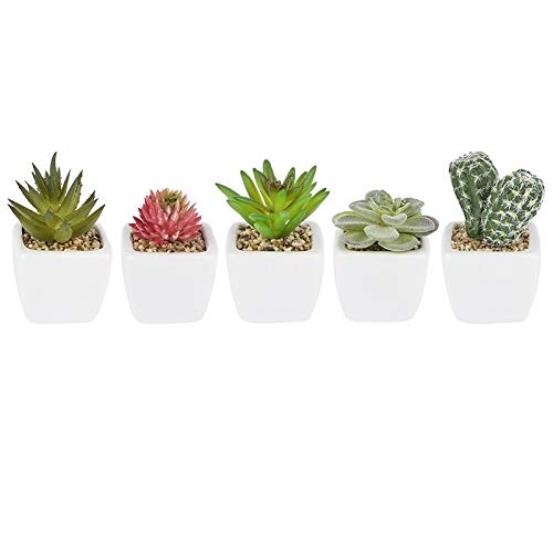 Ideen mit Herz - Juego de suculentas decorativas, 5 unidades, cactus artificiales de aspecto real, Decoración ideal para oficina, alféizar, salón, dormitorio, etc.