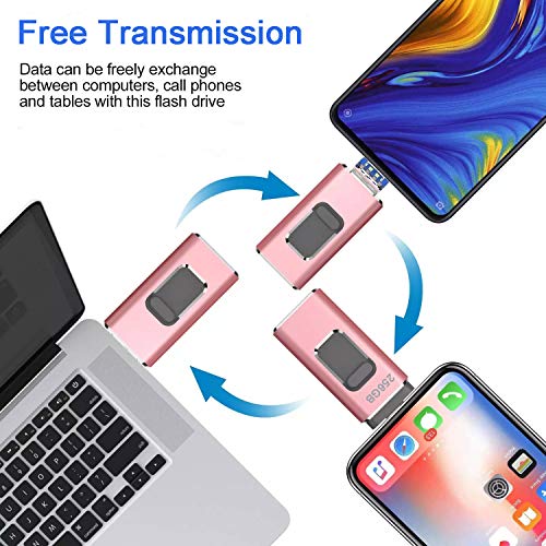 iweed Memoria USB 256GB Pendrive para iPhone OTG Android iPad iPod Computadoras Laptops Flash Drive Expansión de Memoria USB 3.0 (256gb)