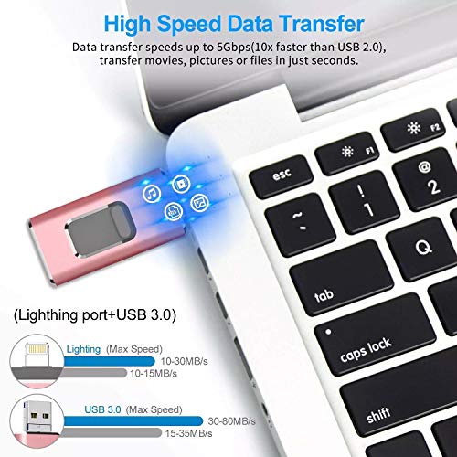 iweed Memoria USB 256GB Pendrive para iPhone OTG Android iPad iPod Computadoras Laptops Flash Drive Expansión de Memoria USB 3.0 (256gb)